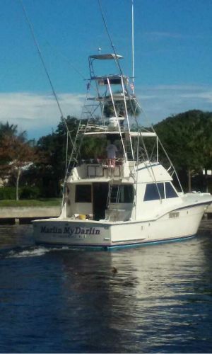 Marlin My Darlin Fort Lauderdale Fl Fishanywhere