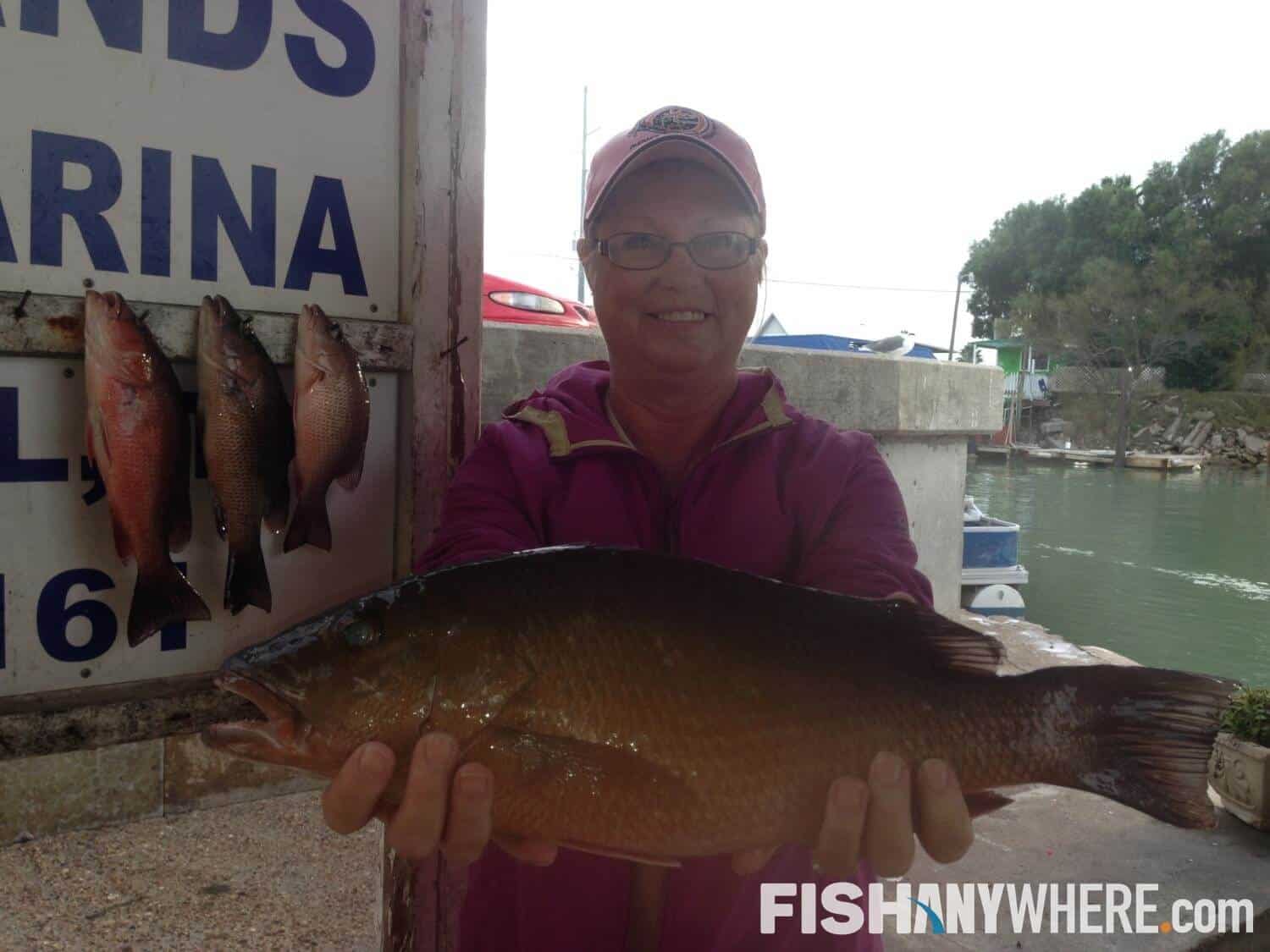 St. Maarten Fishing Charters & Guides FishAnywhere