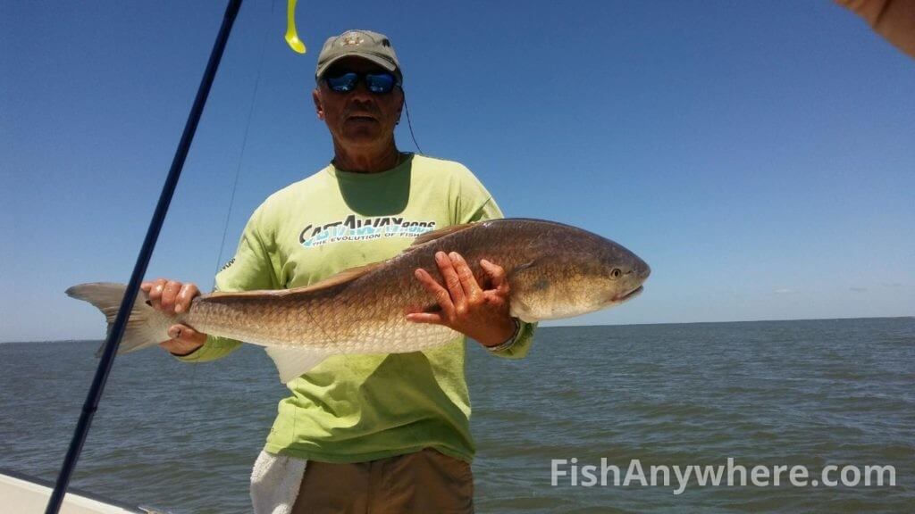 East Galveston Bay Fishing Map East Galveston Bay Fishing Tips & Species | Fishanywhere