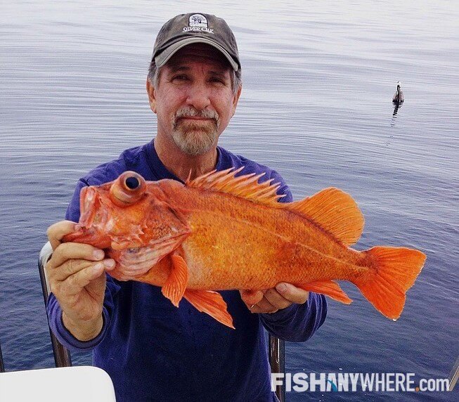 Top 5 West Coast Fishing Destinations FishAnywhere