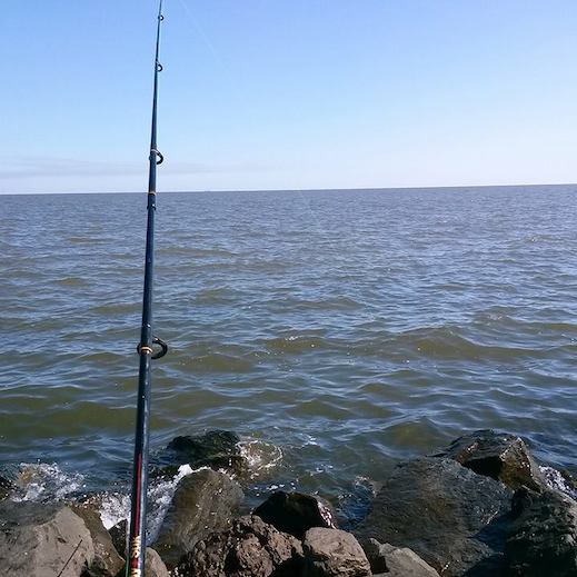 Port Arthur Fishing Charters & Guides FishAnywhere