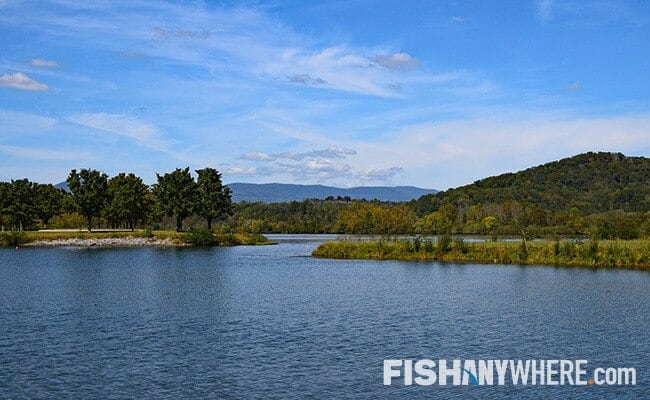 Tennessee River Fishing Charters & Guides | FishAnywhere