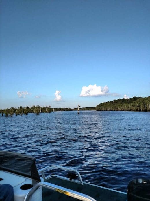 Lake Bistineau Fishing Charters & Guides FishAnywhere