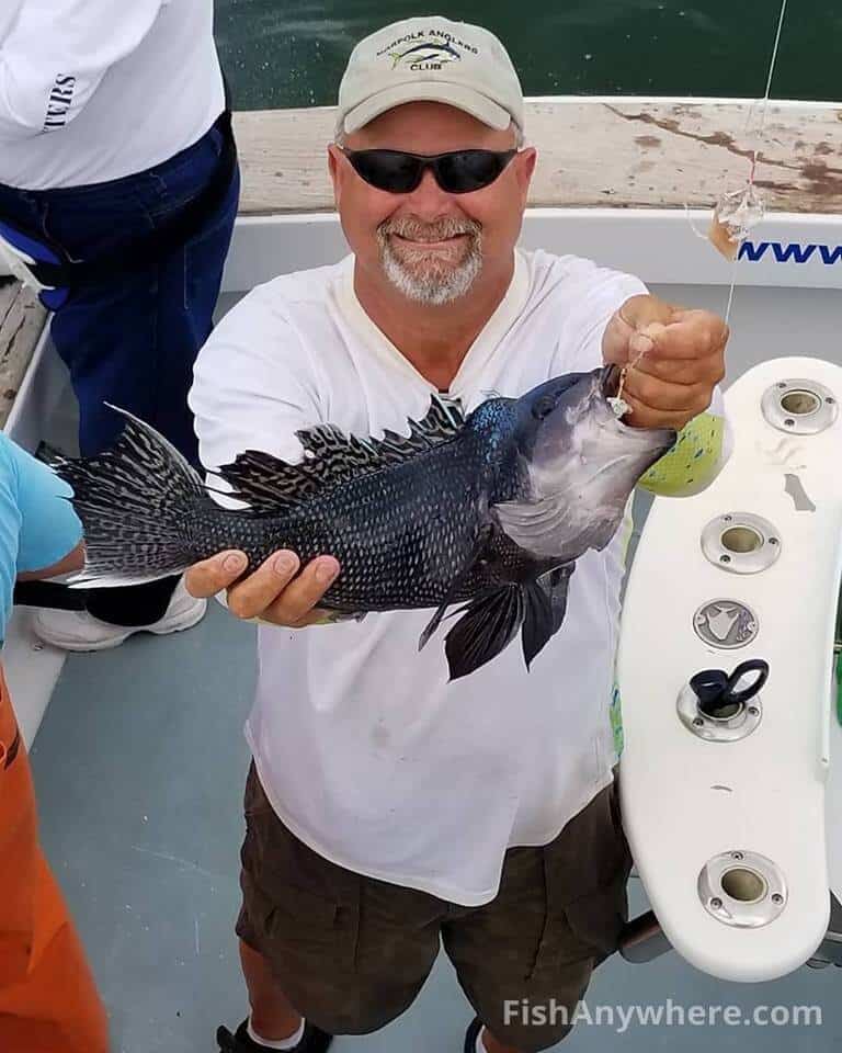 sea fishing trips dartmouth