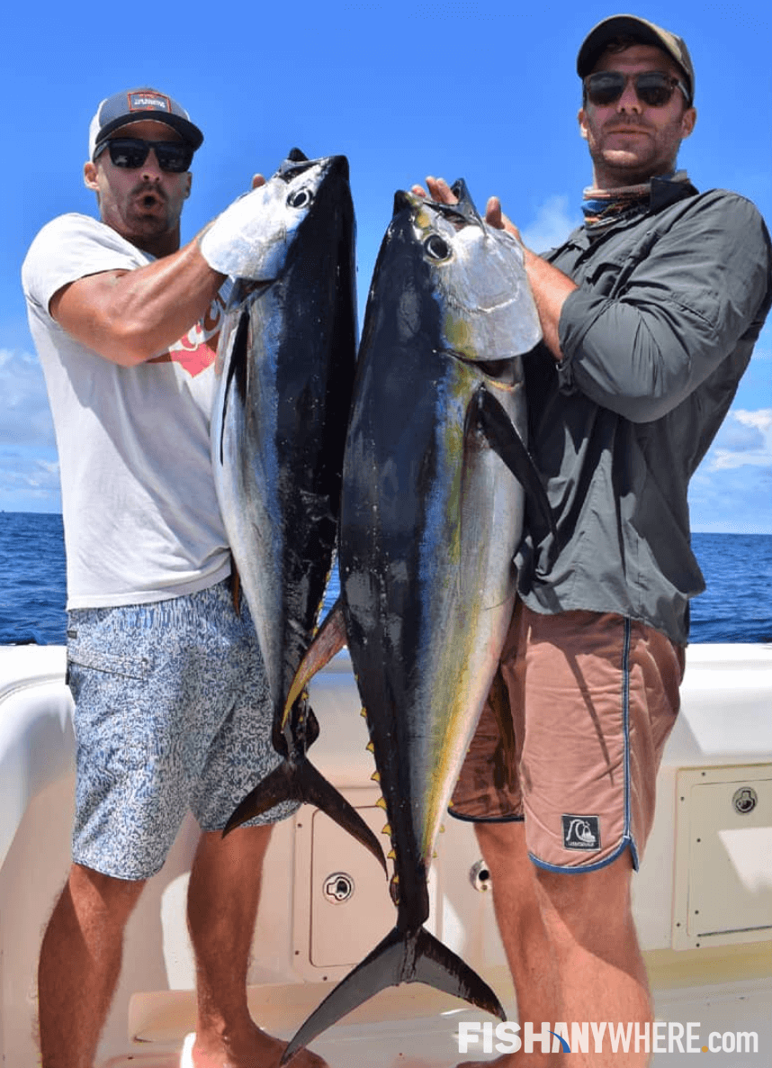 Port Hueneme Fishing Charters & Guides FishAnywhere