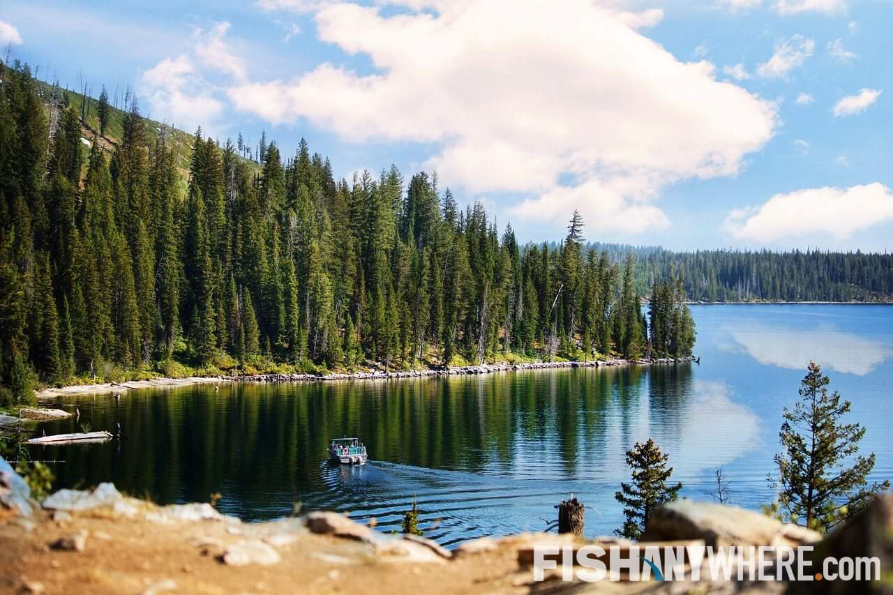 Grand Lake Stream Fishing Charters & Guides FishAnywhere