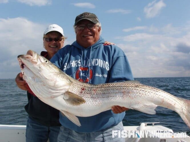 Lake Guntersville Fishing Charters & Guides